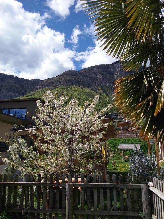 Wiesmuellerhof Caldaro Exteriör bild