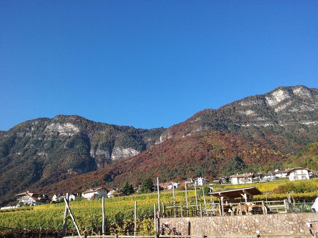 Wiesmuellerhof Caldaro Exteriör bild